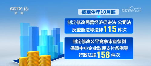 奮進(jìn)的法治中國(guó) 護(hù)航營(yíng)商環(huán)境，法治何以穩(wěn)預(yù)期、促繁榮